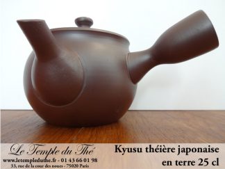 Kyusu de Tokoname