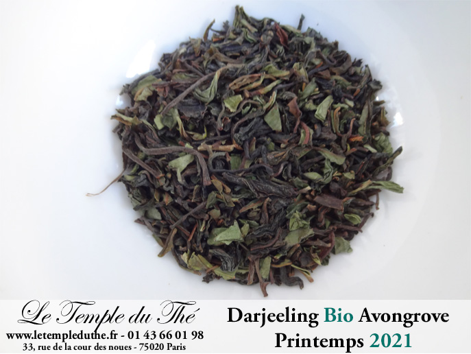 Darjeeling Bio printemps 2021 Jardin Avongrove. FF FTGFOP1 Darjeeling Bio printemps 2021 Jardin Avongrove. FF FTGFOP1