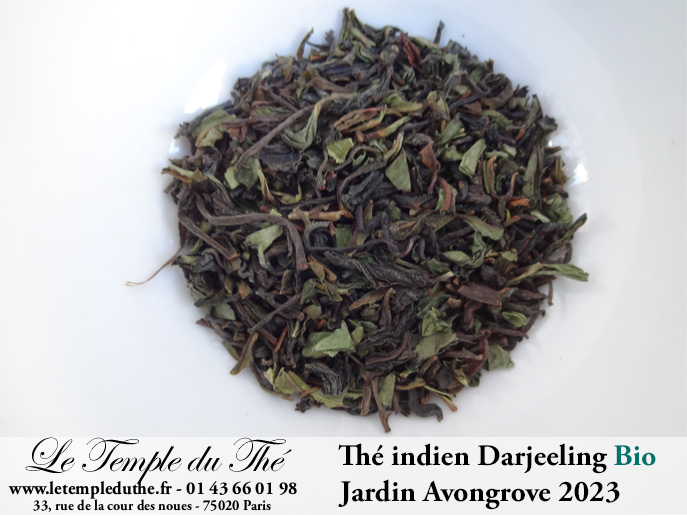 Darjeeling Bio printemps 2023 Jardin Avongrove. FF FTGFOP1