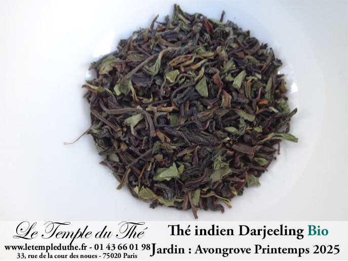 Darjeeling Bio printemps 2025 Jardin Avongrove. FF FTGFOP1