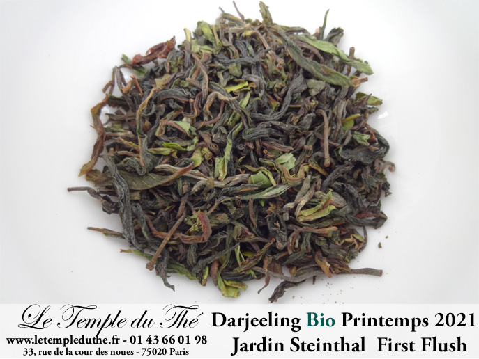 Darjeeling Bio printemps 2021 Jardin Steinthal. FF (first flush) SFTGFOP1 2e cueillette Darjeeling Bio printemps 2021 Jardin Steinthal. FF (first flush) SFTGFOP1 2e cueillette