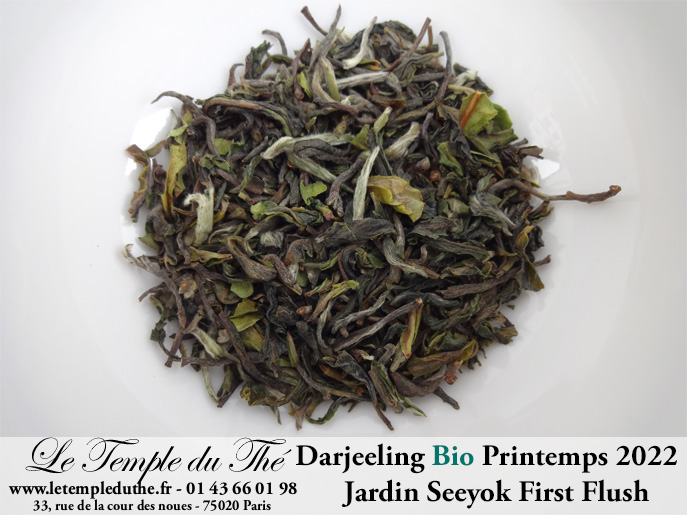 Darjeeling Jardin Seeyok bio première récolte printemps 2022 Darjeeling Jardin Seeyok bio première récolte printemps 2022