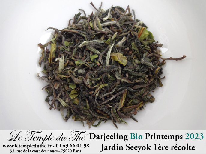 Darjeeling Jardin Seeyok bio première récolte printemps 2023 Darjeeling Jardin Seeyok bio première récolte printemps 2023