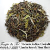 Darjeeling Jardin Seeyok bio première récolte printemps 2024