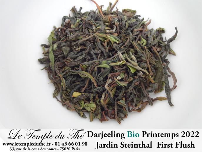 Darjeeling Bio printemps 2022 Jardin Steinthal. FF (first flush) SFTGFOP1