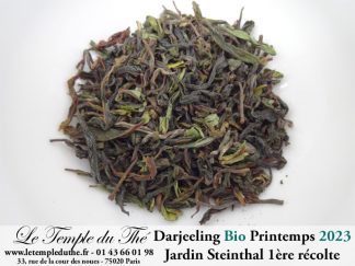 Darjeeling Jardin Steinthal bio première récolte printemps 2023