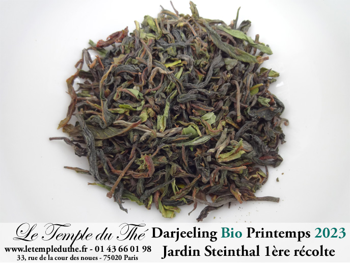 Darjeeling Jardin Steinthal bio première récolte printemps 2023 Darjeeling Jardin Steinthal bio première récolte printemps 2023
