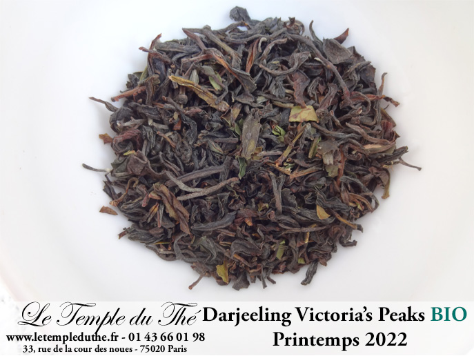 Darjeeling Jardin Victoria's Peak bio première récolte printemps 2022