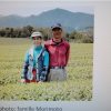 Thé vert du Japon Miyazaki Tokujou première récolte printemps 2024 petits producteurs BIO – Image 2
