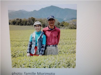 Thé vert du Japon Miyazaki Tokujou première récolte printemps 2022 petits producteurs BIO