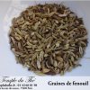Graines de fenouil bio