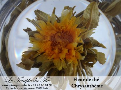 25 fleurs de thés fleur de Chrysanthème