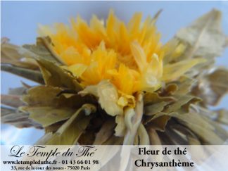 Fleur de thé Chrysanthème  Le Temple du Thé Paris Thé Bio Paris