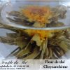 Fleur de thé Chrysanthème – Image 3