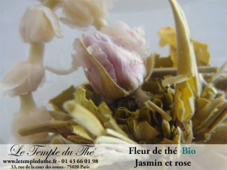 Fleur de thé Chrysanthème  Le Temple du Thé Paris Thé Bio Paris