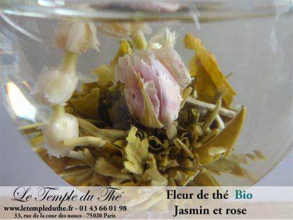 Fleur de thé Jasmin et rose BIO