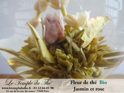 Fleur de thé Jasmin et rose BIO