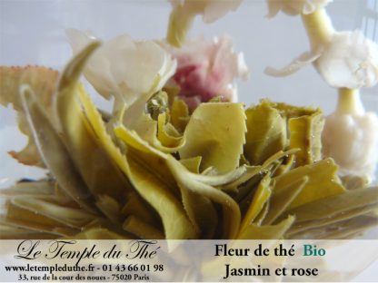 Fleur de thé Jasmin et rose BIO