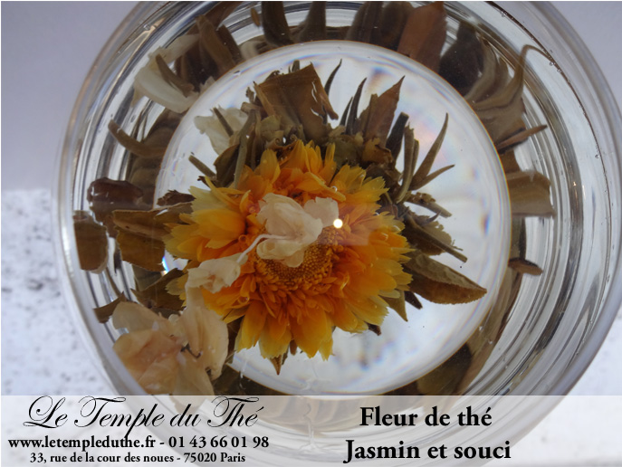 Fleur de thé vert & Jasmin & Amarante & Souci calendula bio