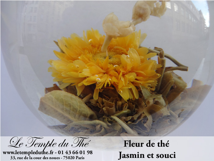 Succombez à la fleur de thé !