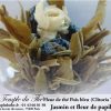 25 fleurs de thés Jasmin et Pois bleu – Image 2