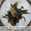 25 fleurs de thés Jasmin et Pois bleu – Image 4