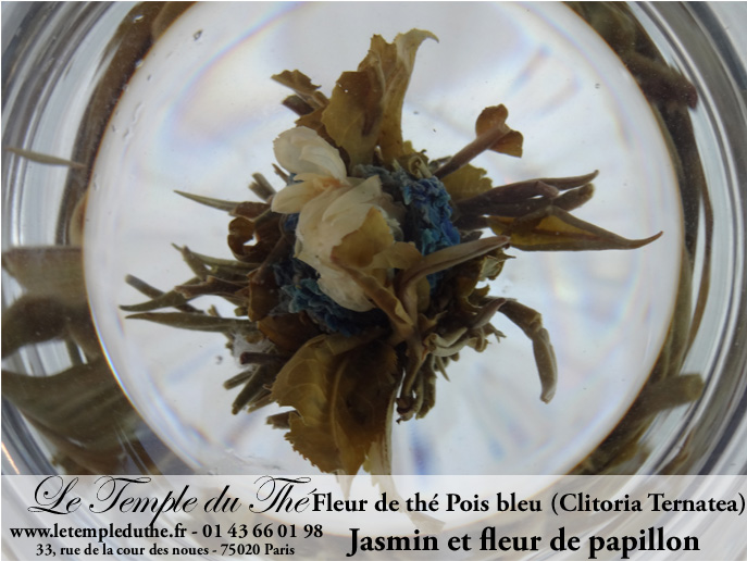 https://www.letempleduthe.fr/wp-content/uploads/fleur-de-the-pois-bleu-6.jpg