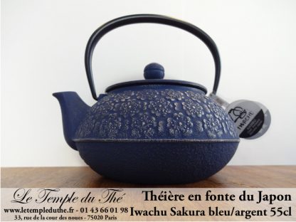 Théière fonte japonaise Iwachu