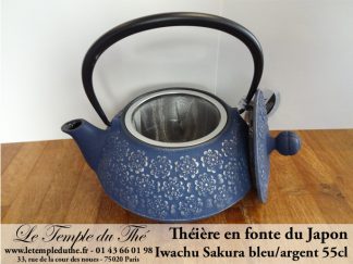 Théière fonte Iwachu