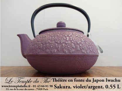 Théière en fonte Arare IWACHU du Japon 1.15 L marron doré