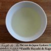 Thé vert du Japon Gyokuro BIO petits producteurs 2024 prix pour 50 g – Image 3