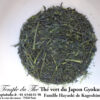 Thé vert du Japon Gyokuro BIO petits producteurs 2024 prix pour 50 g