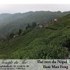Thé vert du Népal de petits producteurs BIO ILAM MAO FENG 1ère récolte du printemps 2024 – Image 2