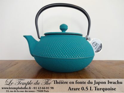 Théière Arare IWACHU Japon 0.5 L turquoise