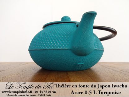 Théière Arare IWACHU Japon 0.5 L turquoise