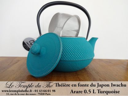 Théière Arare IWACHU Japon 0.5 L turquoise