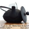 Théière Iwachu Arare Noire 0.8L