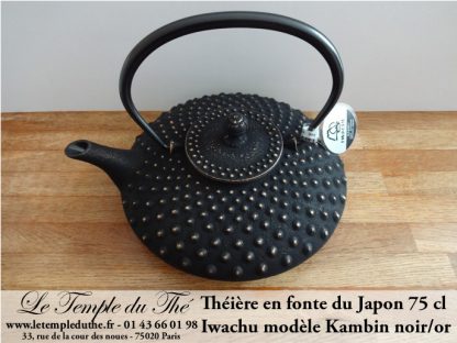 Théière en fonte du Japon IWACHU Kambin noir/or