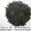 Kabusecha Bio de Kagoshima 2024 thé vert japonais ombragé