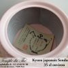 Kyusu japonais Sendan rose 35 cl en terre du Japon – Image 3