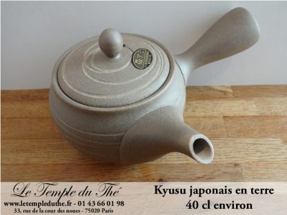 Kyusu en terre du Japon Tokoname 40 cl