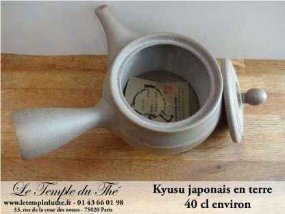 Kyusu en terre du Japon Tokoname 40 cl