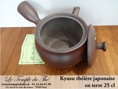 Kyusu japonais