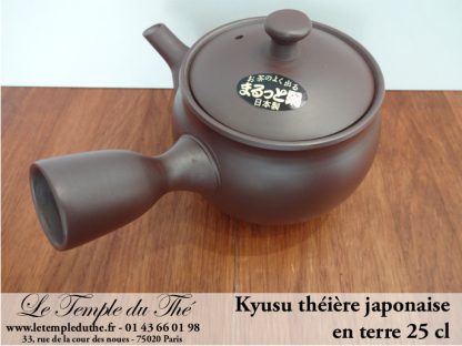 Théière du Japon Kyusu marron 25 cl