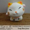 Maneki-Neko Le chat porte bonheur Feng Shui jaune (Chance et Argent)