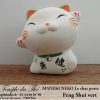 Maneki-Neko Le chat porte bonheur Feng Shui vert (Santé) – Image 3