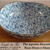 Plat Japon