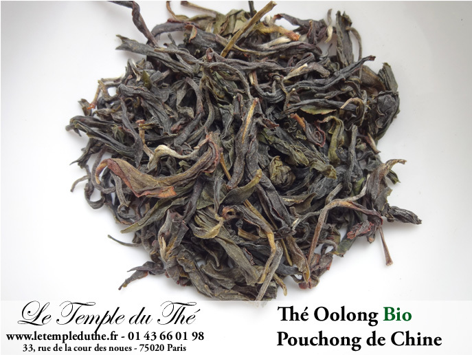 Meilleur thé Oolong Wulong