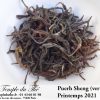 Puerh Sheng (vert) de Chine