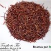 Rooibos Bio